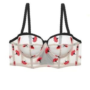 34B Sheer Embroidered Bra Set by Lou Lingerie